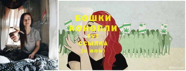 дживик Семилуки