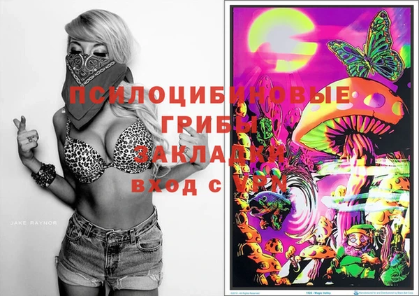 ALPHA PVP Володарск